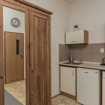 Apartment Premyslova Hradec Kralove