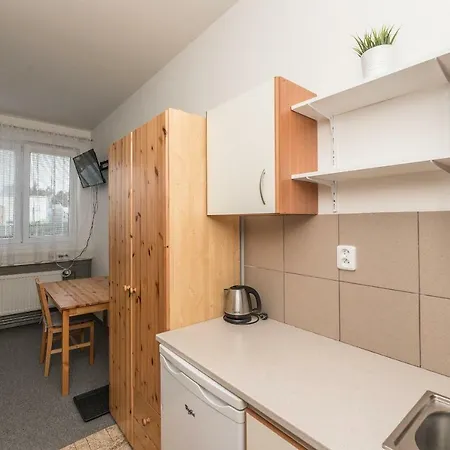 Premyslova Apartment
