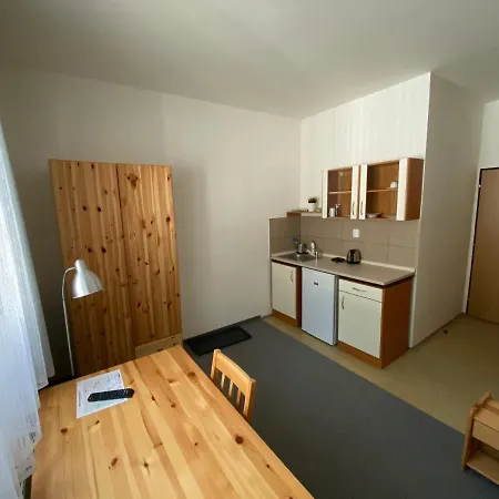 Premyslova Apartment